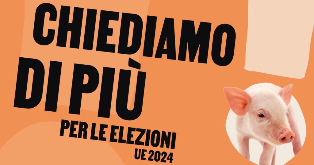 “Anche gli animali votano”: il manifesto europeo per la tutela degli animali