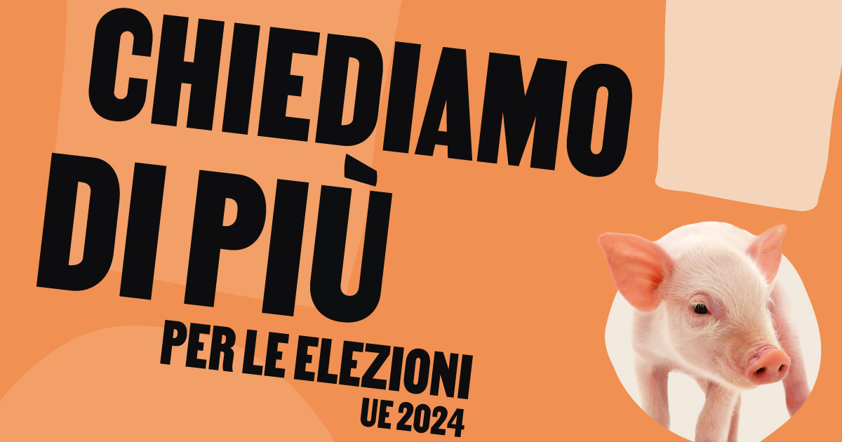 “Anche gli animali votano”: il manifesto europeo per la tutela degli animali
