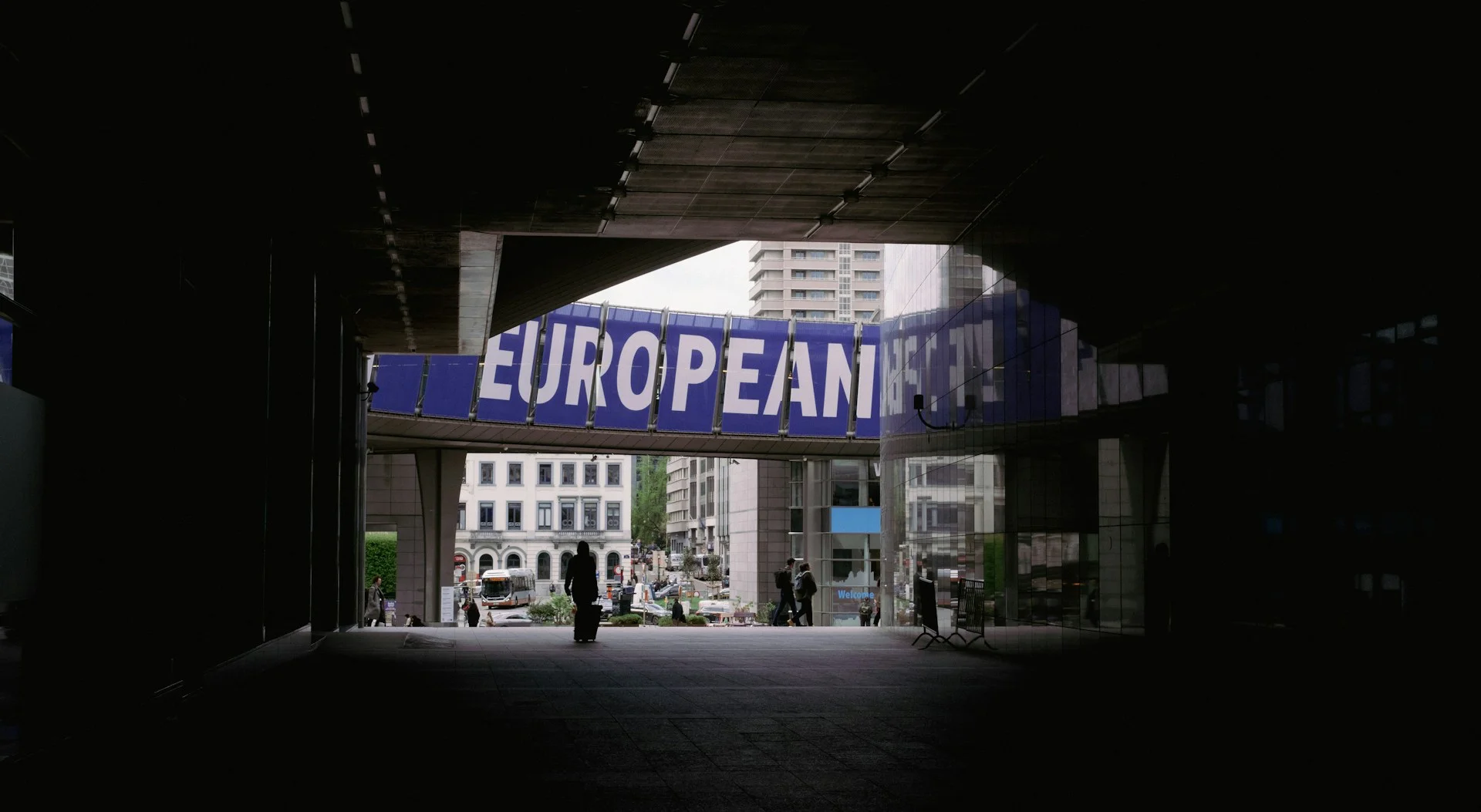 Interrogazione parlamentare sulla riforma del benessere animale nell’Ue