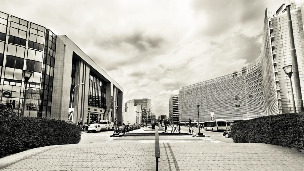 End the Cage Age: tre ONG ammesse a intervenire nel ricorso contro la Commissione europea