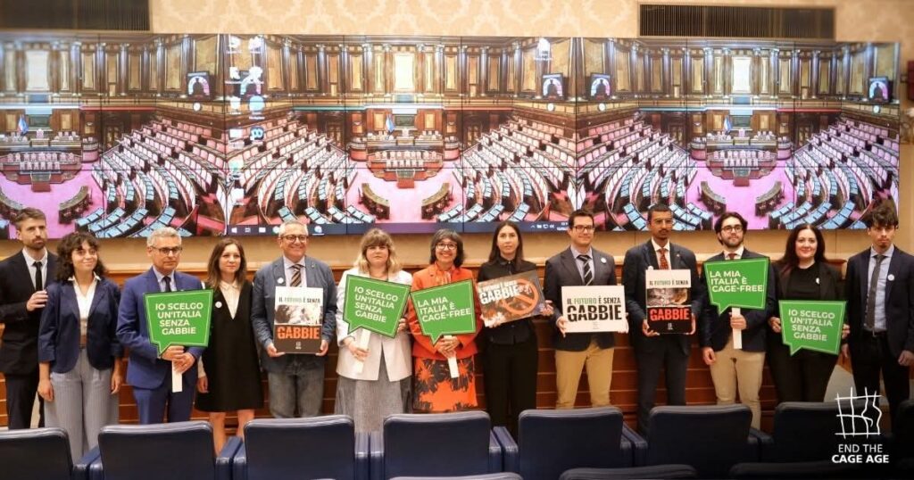 Basta gabbie: un altro futuro è possibile