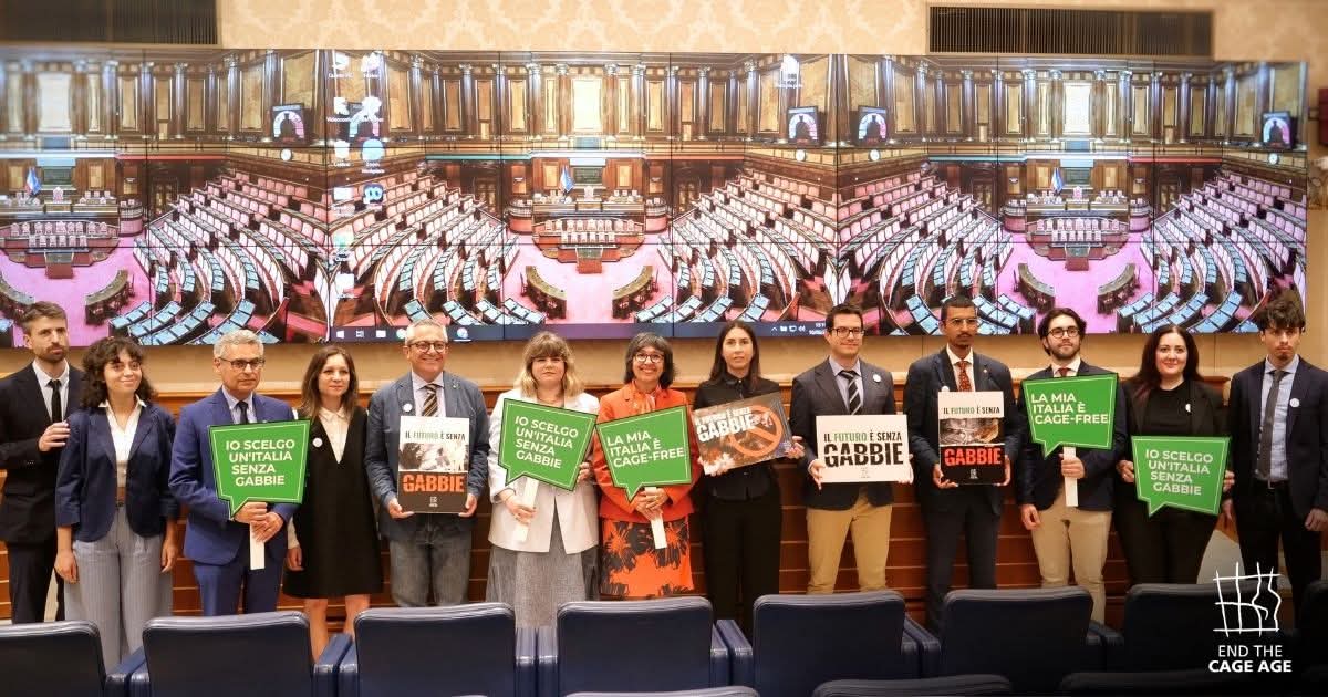 Basta gabbie: un altro futuro è possibile
